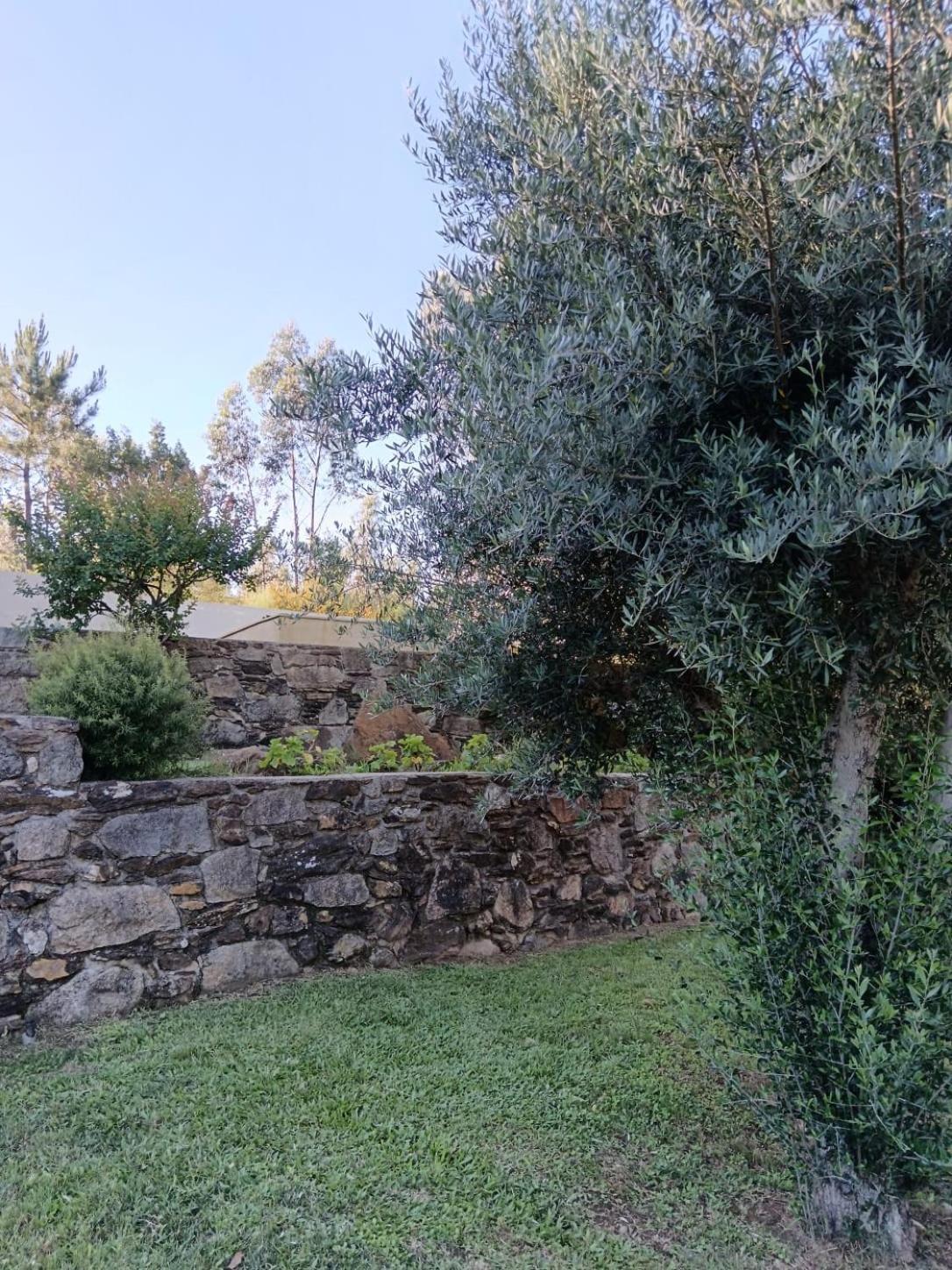 Villa Casa Dos Matos Ponte de Lima Exterior foto
